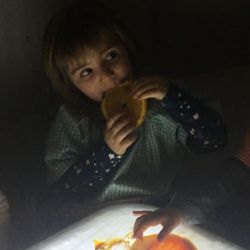 s un ocell es un avio n0 es 06