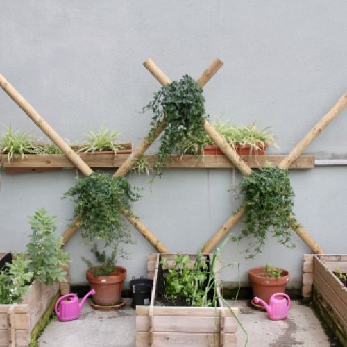 L'hort del Saltiró