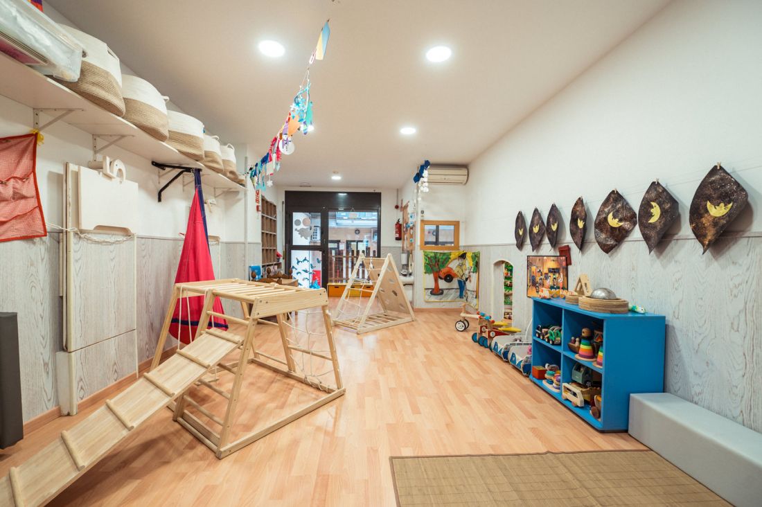 La classe dels Dofins (I1)