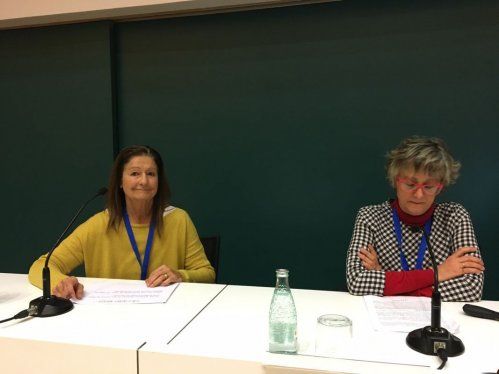 LA RUT PRESENTA EL PROJECTE DEL SALTIRÓ AL \"ARA ÉS DEMÀ\"