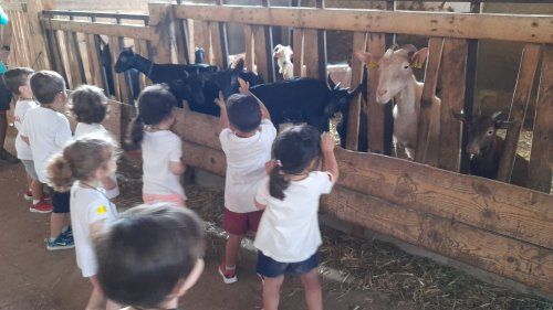 Guarderia Hospitalet Centro