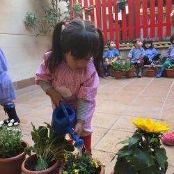 la gran plantada 07