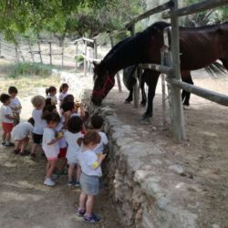 la gran aventura tres dies a la granja escola 06