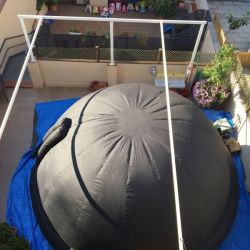 s un ocell es un avio n0 es