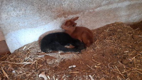 WhatsApp Image 2021 06 30 at 11.53.09 (1)