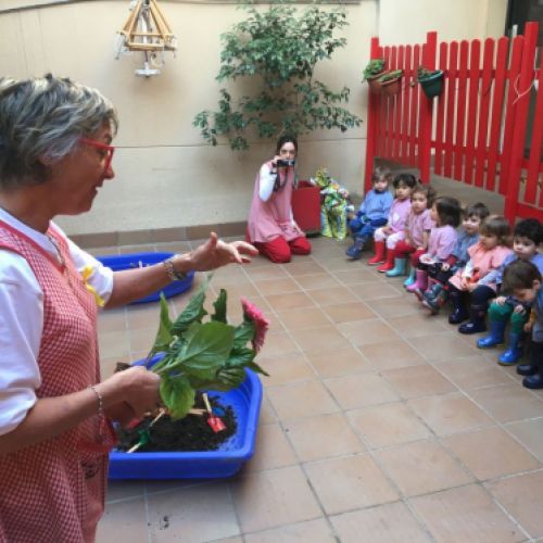 la gran plantada 02