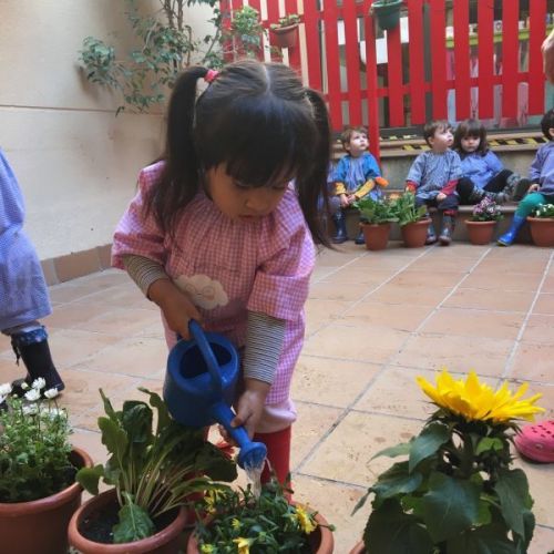 la gran plantada 07