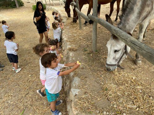 WhatsApp Image 2021 06 30 at 11.46.44