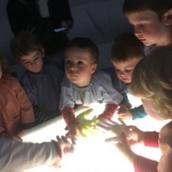 s un ocell es un avio n0 es 05