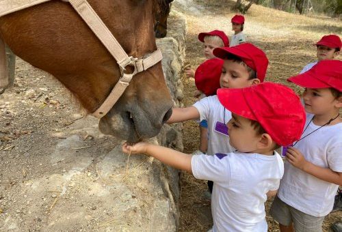 WhatsApp Image 2021 06 29 at 16.38.47