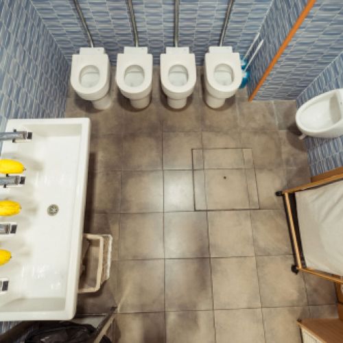 El lavabo dels Vaixells i els Dracs