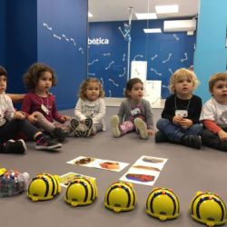 el saltiro es robotitza 03