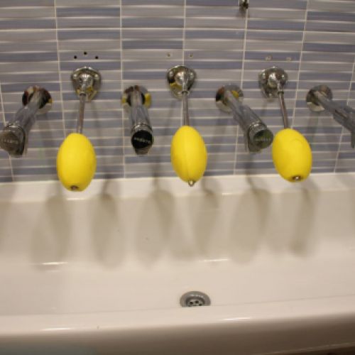Les llimones sabó del lavabo dels Vaixells i els Dracs.