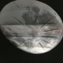 s un ocell es un avio n0 es 04