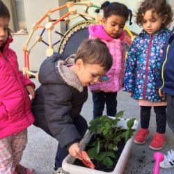 de la terra al plat 01