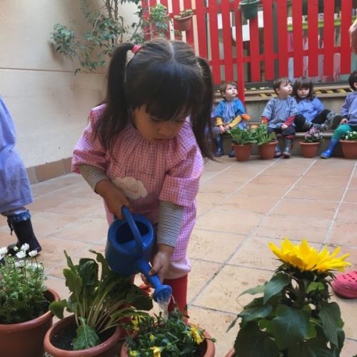 la gran plantada 07