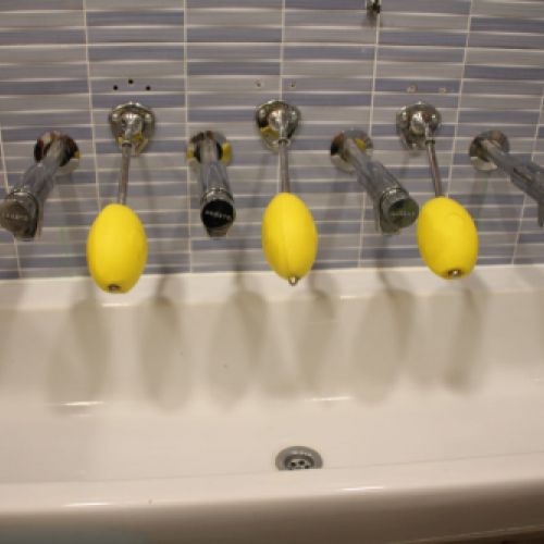 Les llimones sabó del lavabo dels Vaixells i els Dracs.