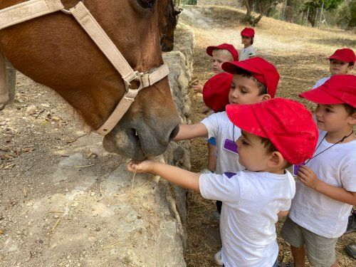 WhatsApp Image 2021 06 29 at 16.38.47