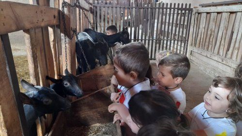 WhatsApp Image 2021 06 30 at 11.53.08