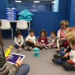 el saltiro es robotitza 05