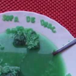 el paoros drac del saltiro atemoreix lhospi 06