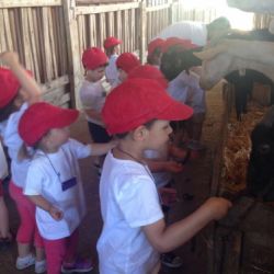 la gran aventura tres dies a la granja escola 07