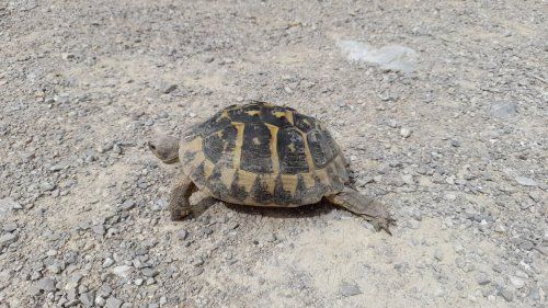 WhatsApp Image 2021 06 30 at 11.39.59