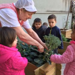 de la terra al plat 02