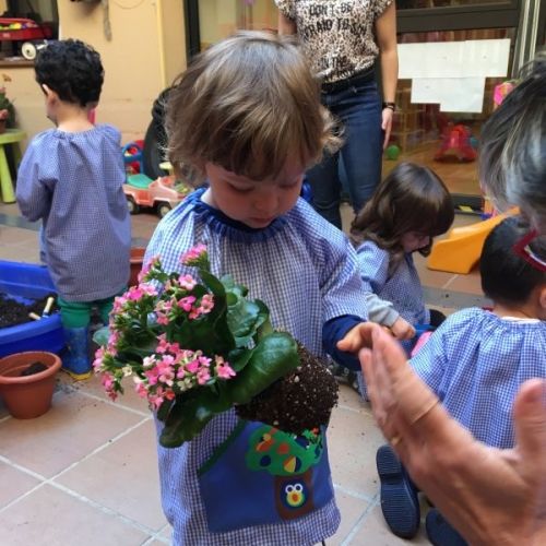 la gran plantada 05