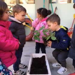 de la terra al plat 04