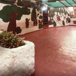 40 anys fent saltirons 02